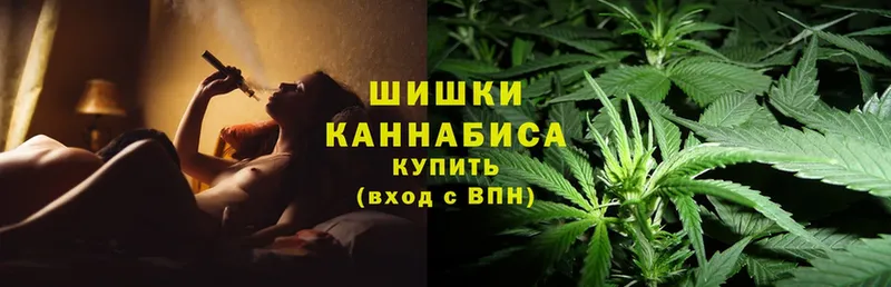 Конопля OG Kush  Советск 